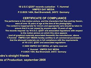 Pedro's Straight Friends (2008)