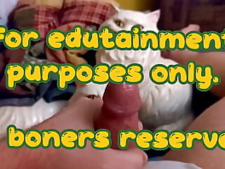 ΚΙΝΟΥΜΕΝΟ ΣΧΕΔΙΟ